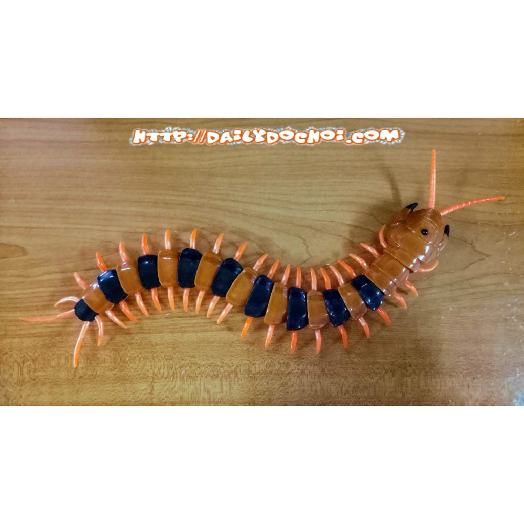 Rết điều khiển từ xa cực kỳ thú vị
