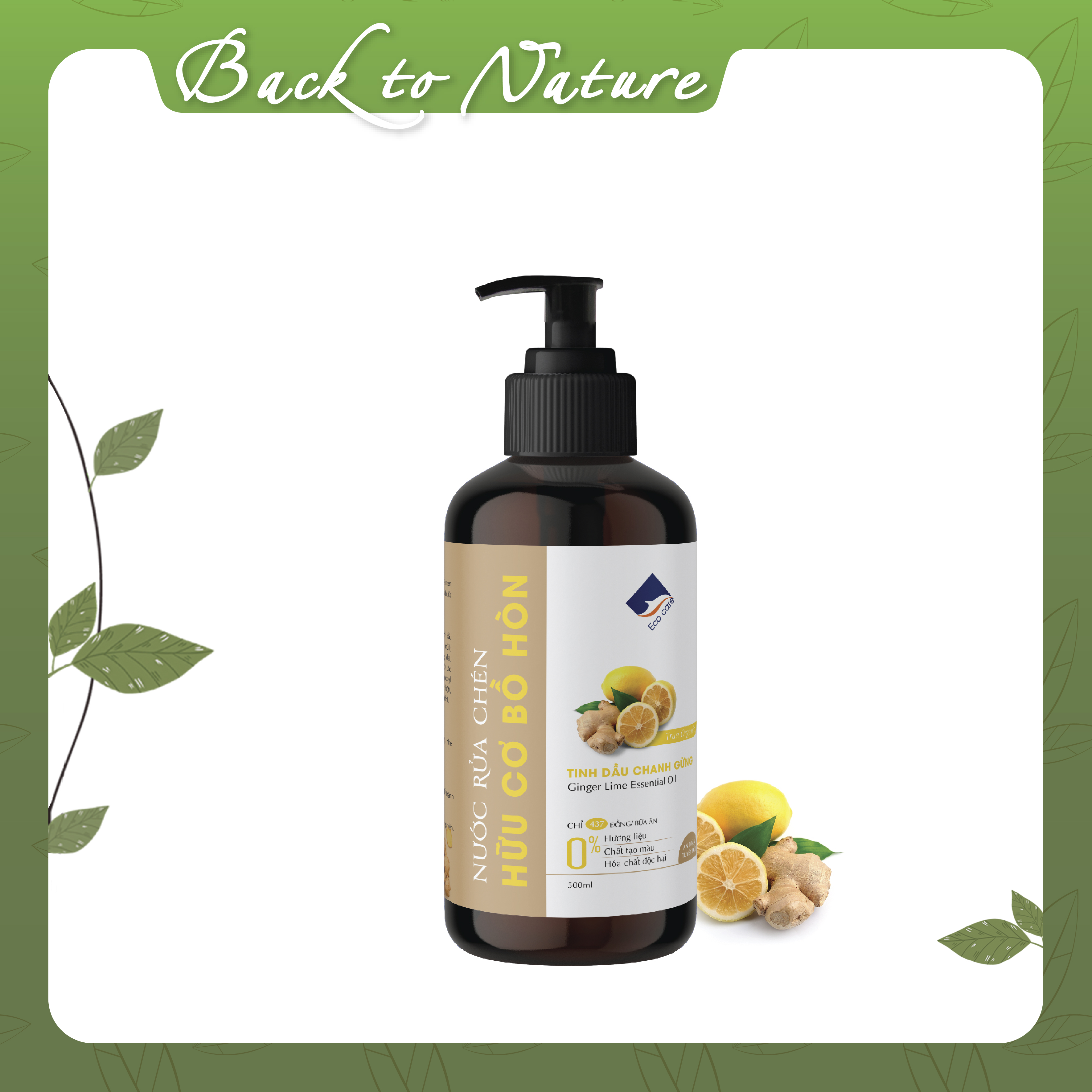 Nước rửa chén hữu cơ bồ hòn Ecocare