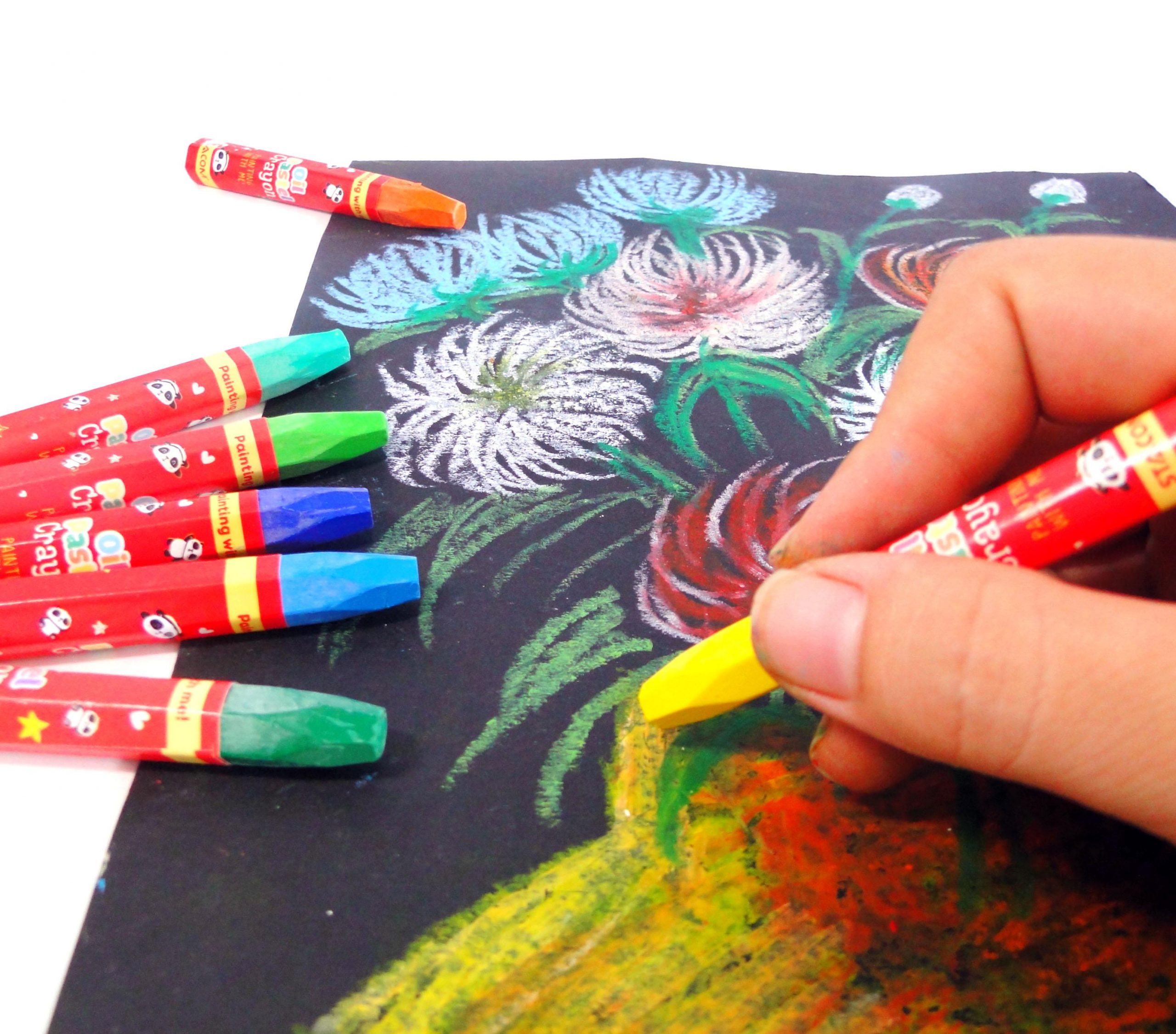(1 Hộp) Sáp màu dầu (Oil pastel) 12 màu – Stacom OP212
