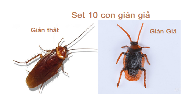 Combo 10 con gián giả nhựa dẻo 5.5cm