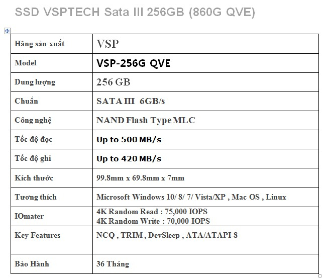 [HCM]Ổ cứng SSD VSPTECH 256G (860G QVE) – Bảo hành 36 tháng