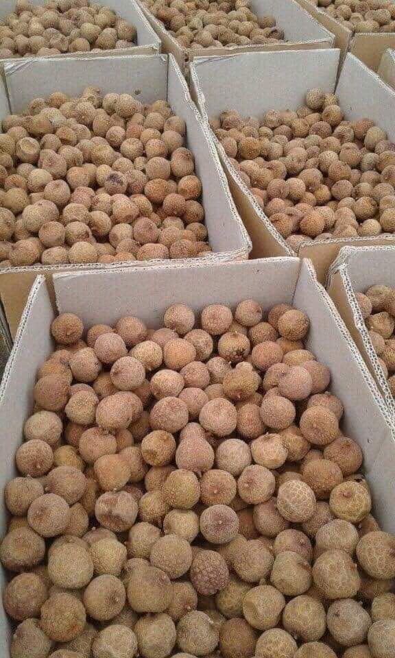 [Vải KHÔ Bắc Giang 1kg mới] Vải Thiều sấy khô nguyên quả