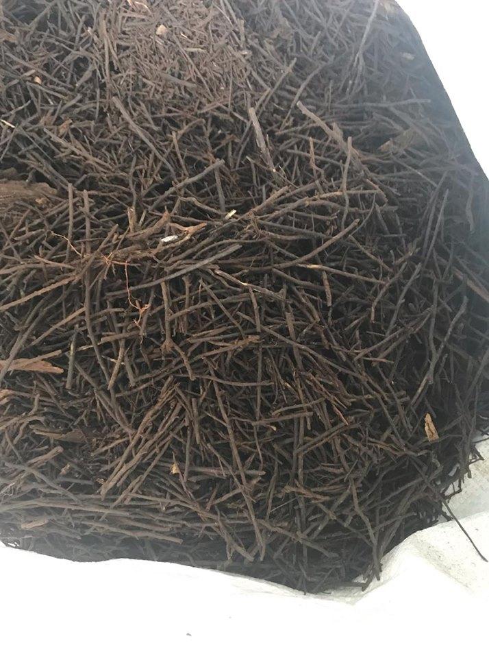 Dớn sợi trồng lan gói 500g