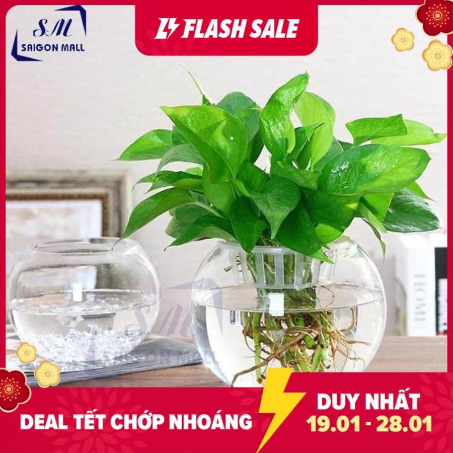 [HCM]Chậu trồng cây thủy canh dáng quả cầu nhỏ dễ thương đường kính 8cm cao 10cm (T07) quả cầu thủy tinh nhỏ dùng làm bể nuôi cá lọ cắm hoa trồng cây trang trí handmade hồ cát màu