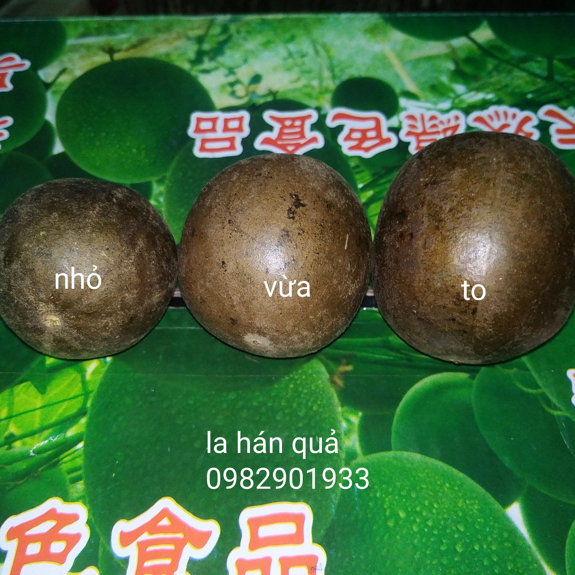 La hán quả loại 1 - 1 trái cỡ vừa