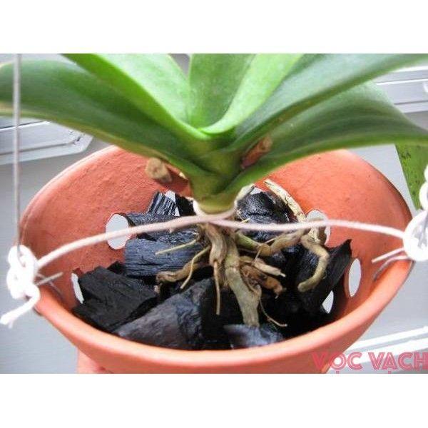 Than củi đa dụng 0,5kg