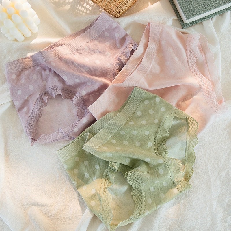 Set 5 quần chip chấm bi cotton xuất nhật