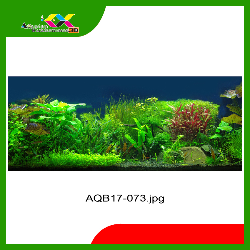 Tranh 3D koifish- 160x80cm, quà tặng đặc biệt, cho Hồ Cá Cảnh siêu nét, siêu đẹp, theo yêu cầu