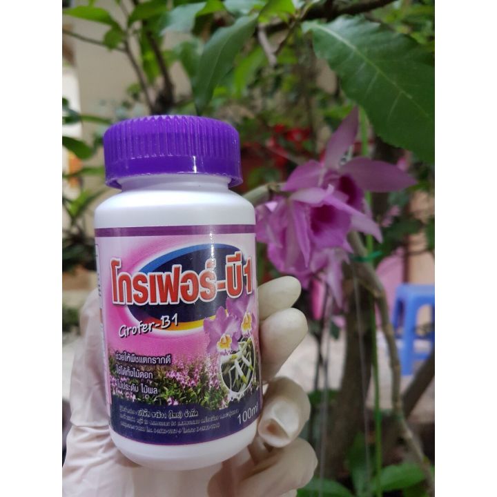 Vitamin B1 Grofer [100ml]- phân bón lá cao cấp Thái Lan
