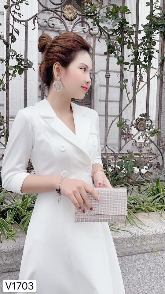 Đầm xoè tay lỡ cổ vét