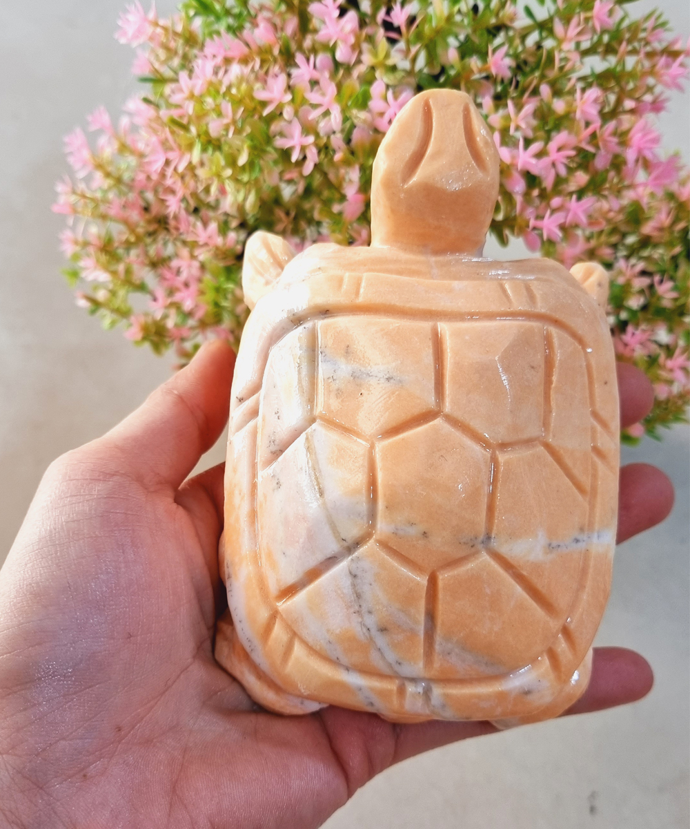 [HCM](Chọn màu) Cụ Rùa bằng đá tự nhiên size 12cm