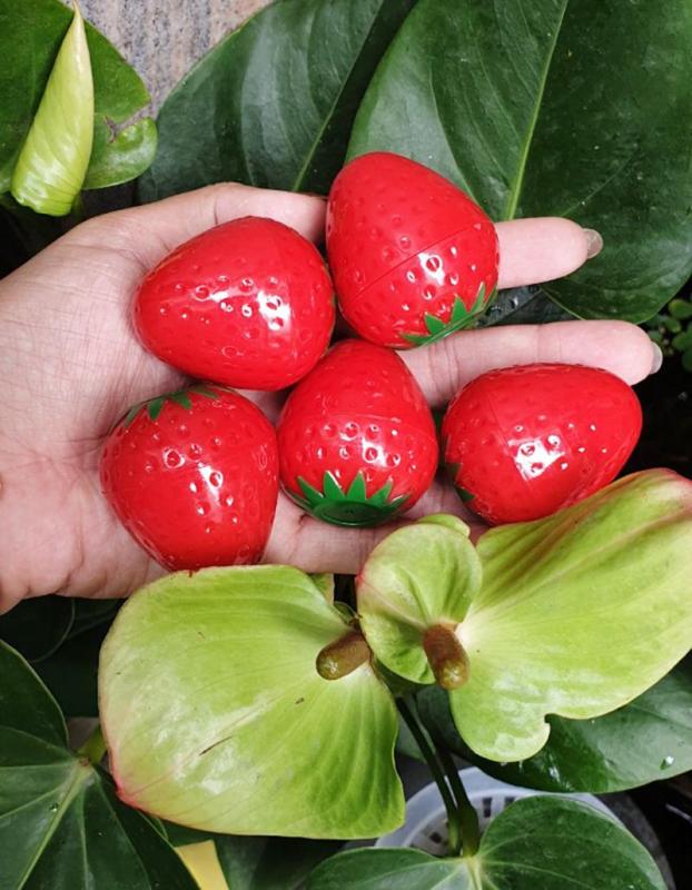 SON DÂU DƯỠNG MÔI CÓ MÀU