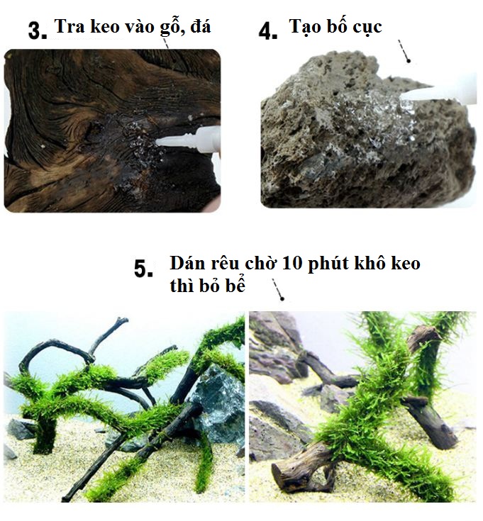 Keo dán rêu thủy sinh (1 tuýp)