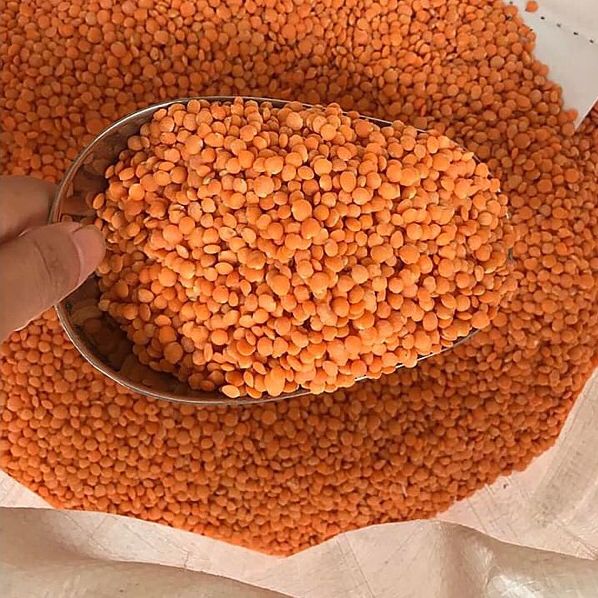 Đậu Lăng Đỏ Nguyên Hạt Hũ 500g.