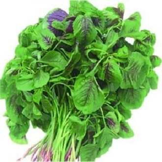 Hạt giống rau dền cơm - gói 10gram - VTNT1