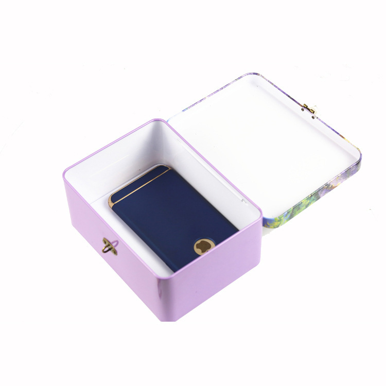 Blesiya Locked tinplate Metal Collection Iron Storage Box