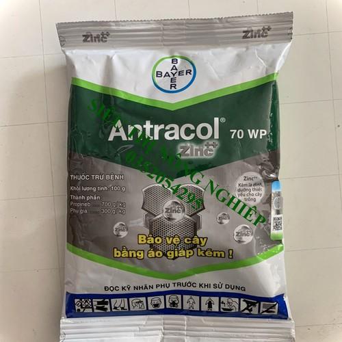 Sản phẩm trừ nấm bệnh - ANTRACOL 70WP 100gr