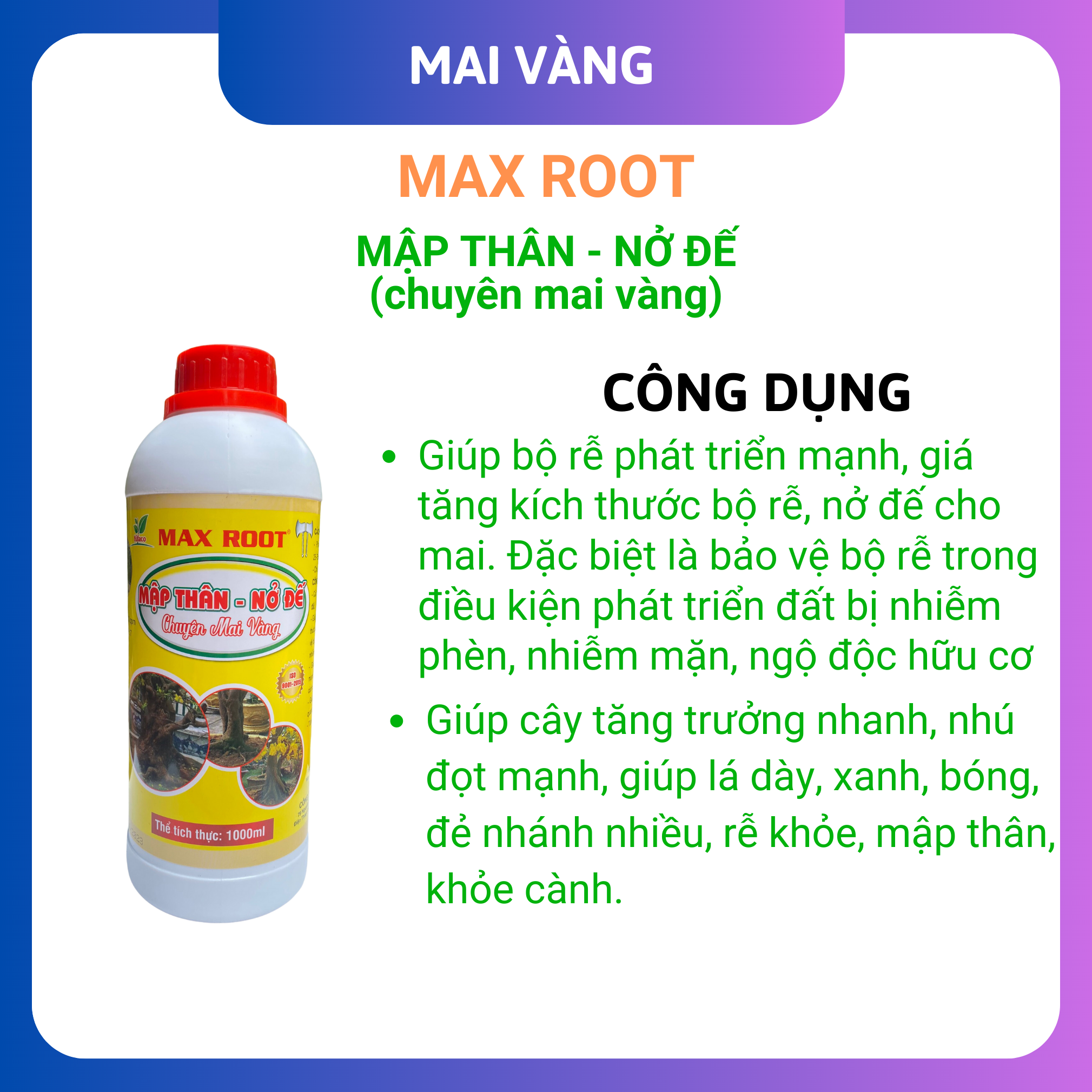 Phân bón mai vàng, mập thân nở đế chai 1 lít