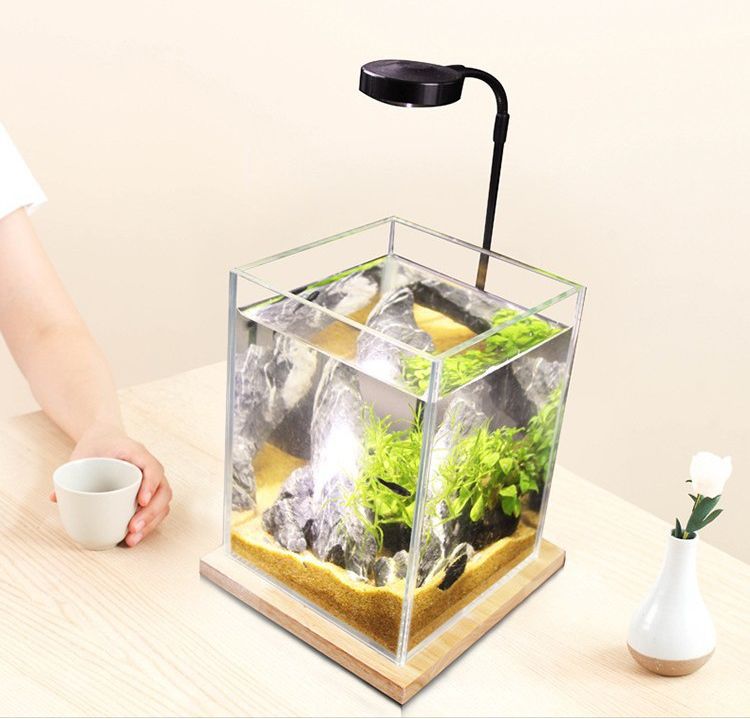Bộ đế gỗ & đèn Led cho hồ thủy sinh để bàn