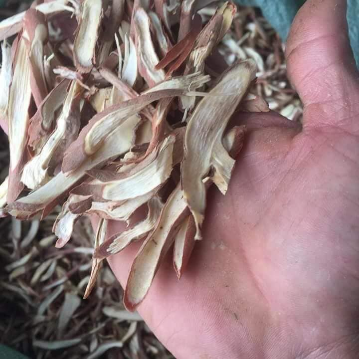 1Kg  Sâm Cau Đỏ rừng Tây Bắc Đẹp Thái Lát ( Khô , Thơm)