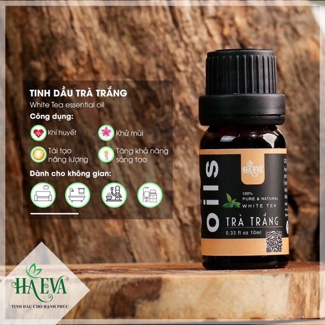 [HCM]Tinh dầu Trà Trắng Haeva 10ml