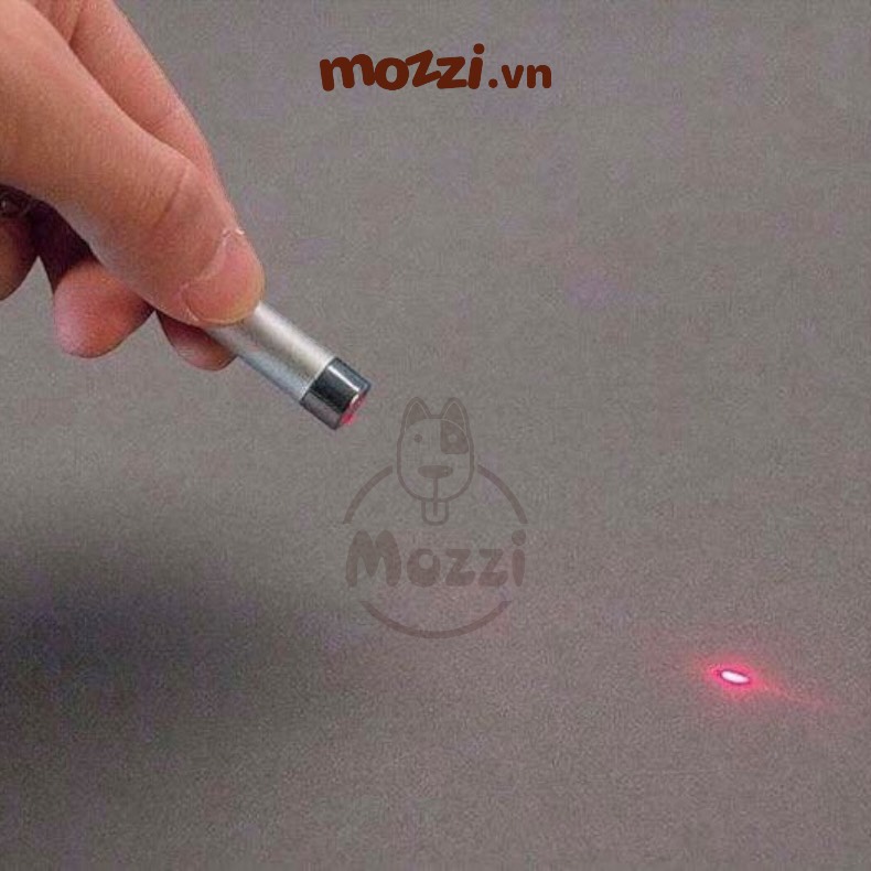 Đèn laser đồ chơi cho mèo