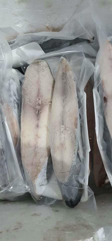 CÁ THU KHÚC 1 NẮNG - Đồ Sơn, HP