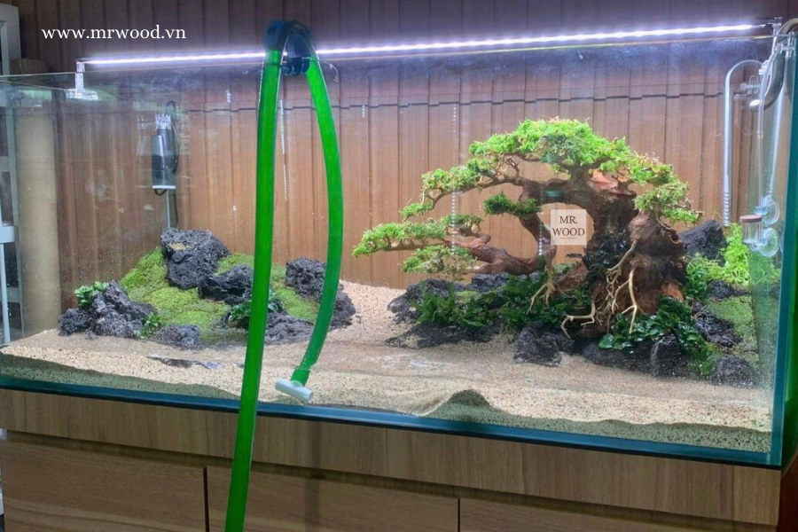 Lũa Bonsai Dáng Đổ Cho Hồ Thủy Sinh- Xưởng Mr Wood