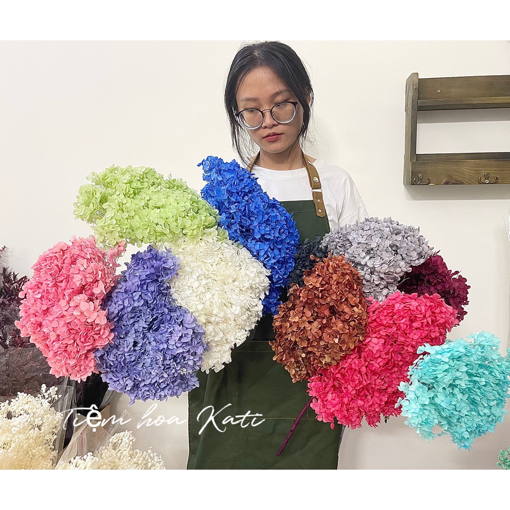 Hoa cẩm tú cầu khô, hoa khô decor trang trí