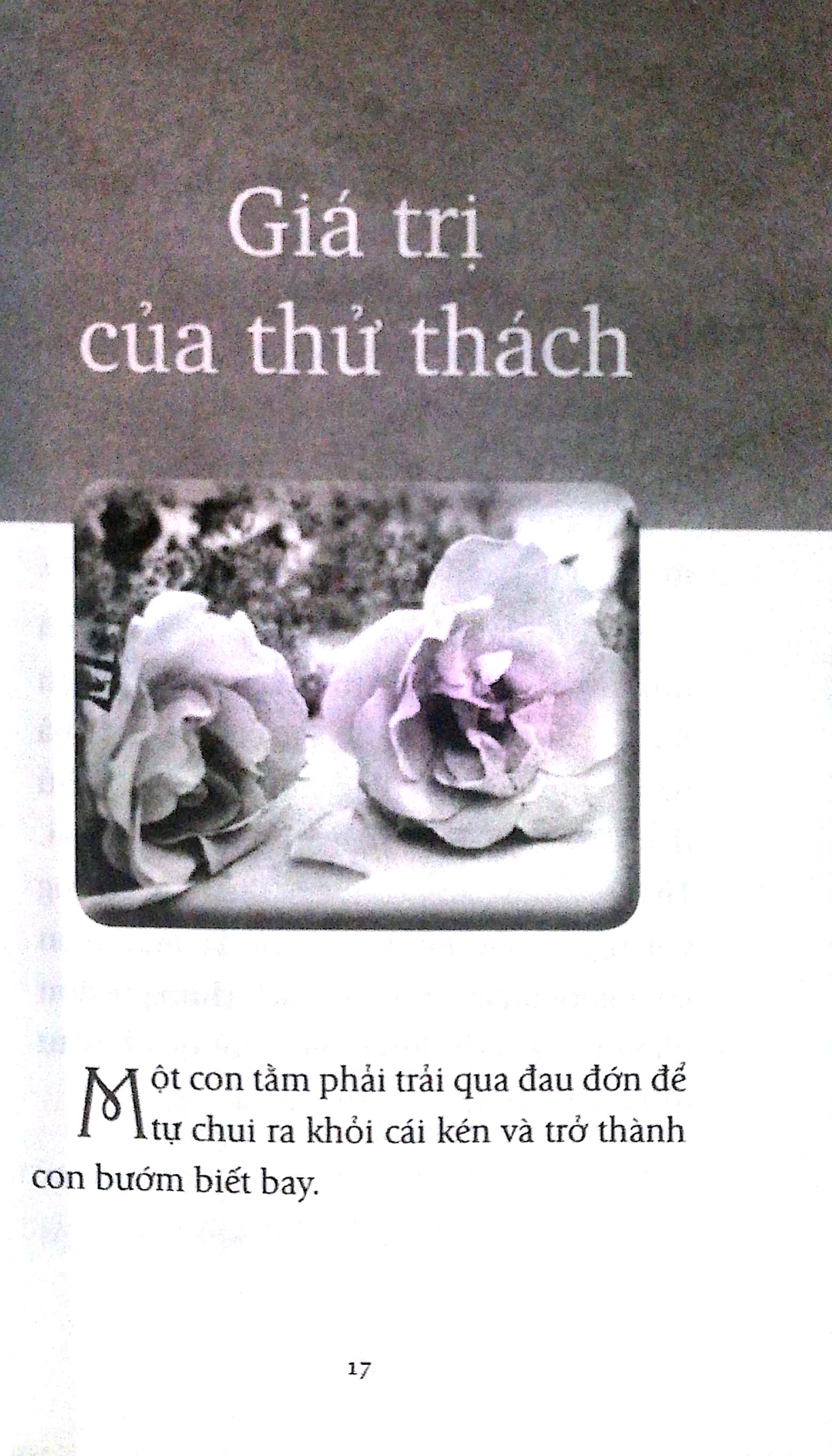 Fahasa - Hạt Giống Tâm Hồn 1 (Khổ Nhỏ)
