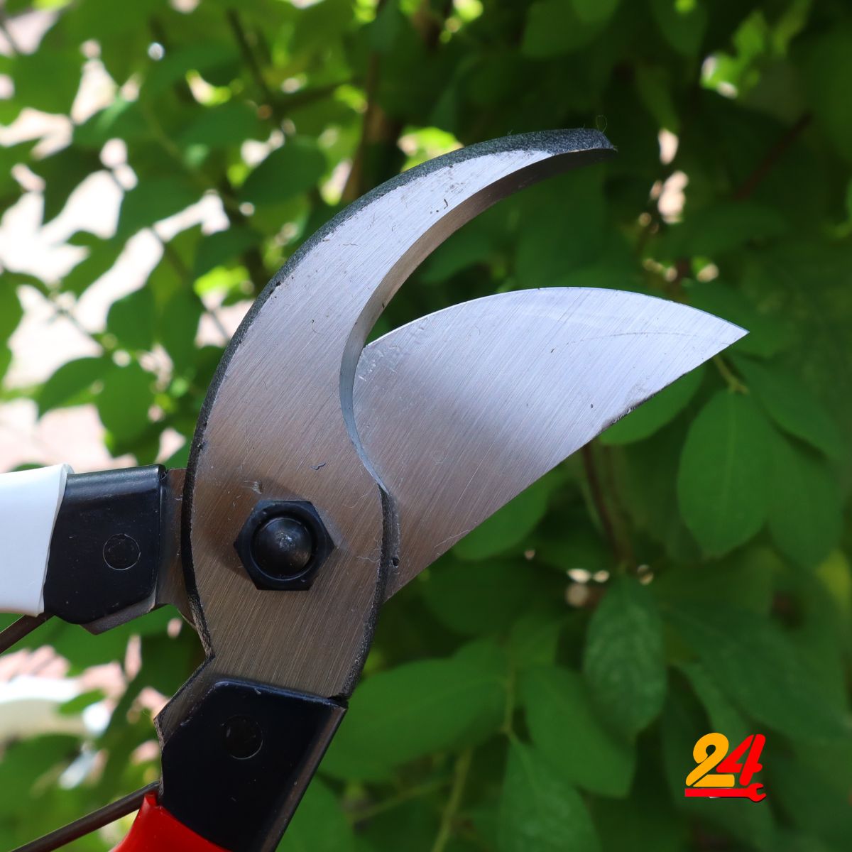 Kéo cắt cành nội địa nhật OKATSUNE [made in japan]