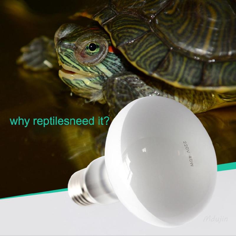 220 V bò sát UVA đèn sưởi rùa hộp sưởi ấm đèn rùa thằn lằn đèn đồn 【Free Shipping】