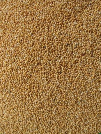 [HCM]Hạt kê gói 500g