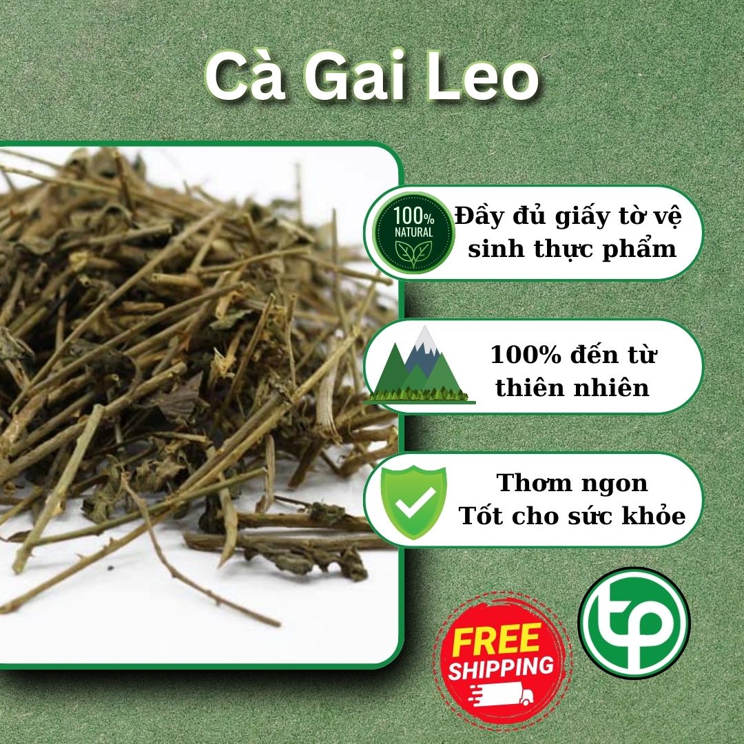 Cà gai leo khô 500g - Hỗ trợ thanh nhiệt và giải độc - Làm mát cơ thể - Hàng sạch xanh giá tốt - Thảo Dược Tấn Phát