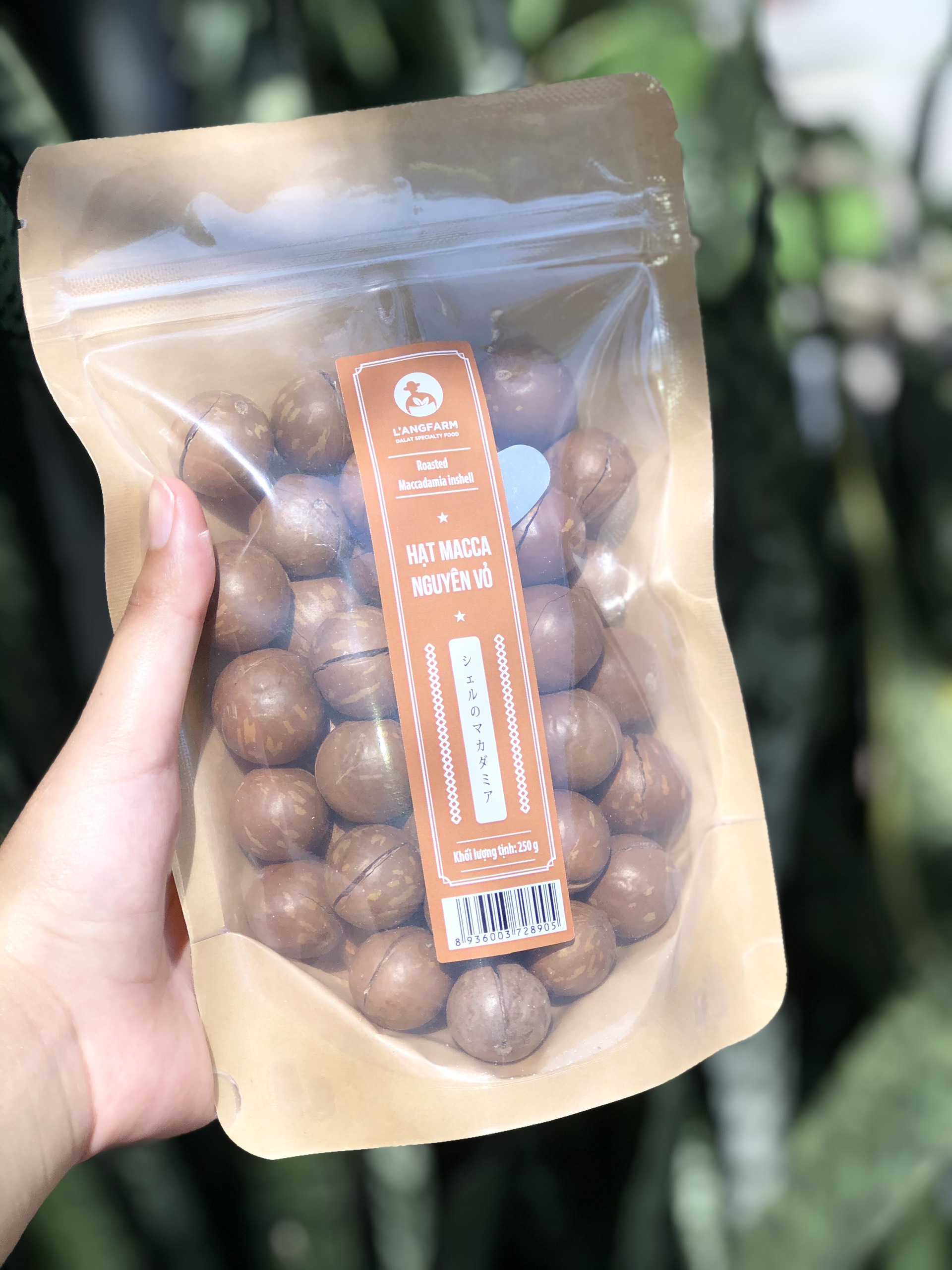 Hạt Macca Nứt Vỏ-ROASTED MACCADAMIA INSHELL