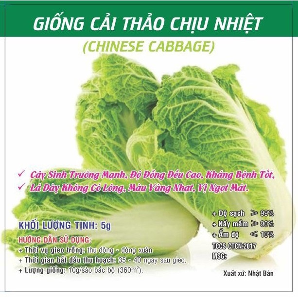 Hạt giống Cải Thảo Chịu Nhiệt TN