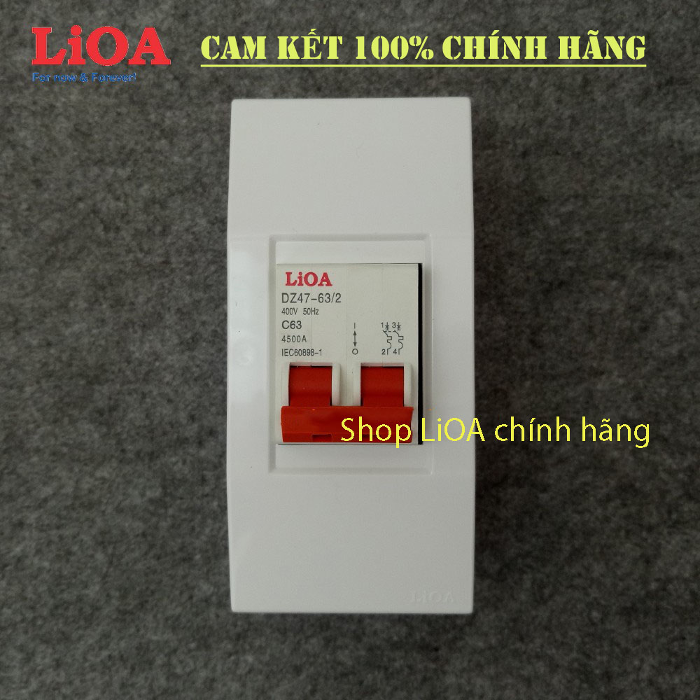 Combo cầu dao tự động (APTOMAT) LiOA  loại 2 cực - Lắp nổi