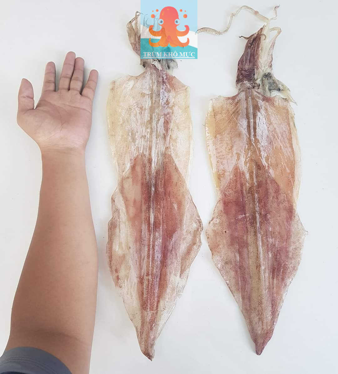 1 kg khô mực vũng tàu _ loại đặc biệt