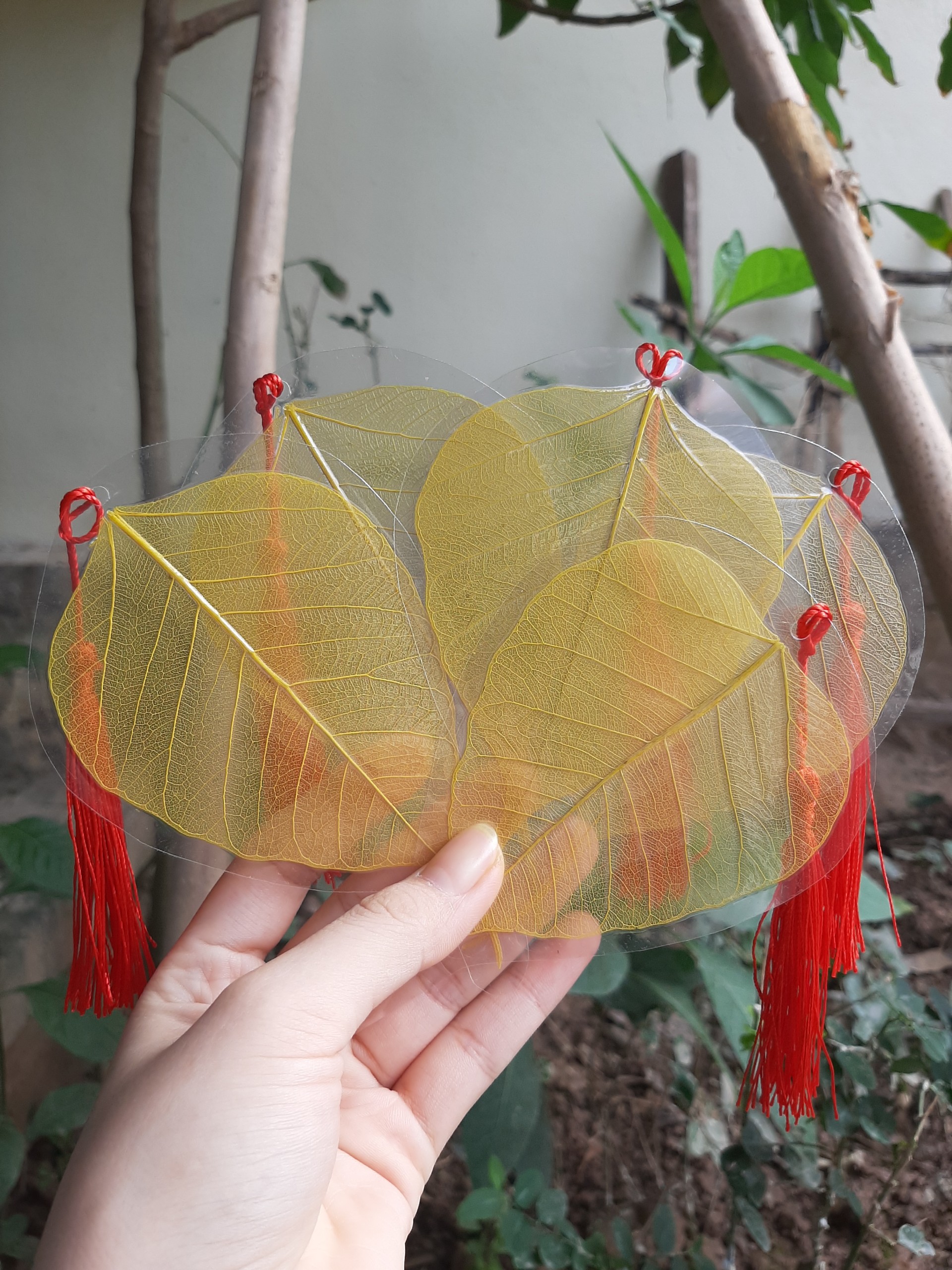 Lá bồ đề ép sẵn dùng để viết thư pháp size8-9cm