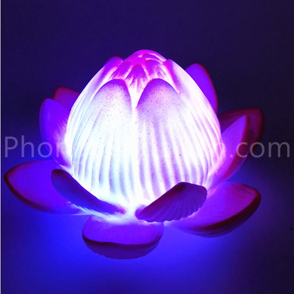 Đèn Hoa sen Hồng LED 12cm(kèm Pin)_Video