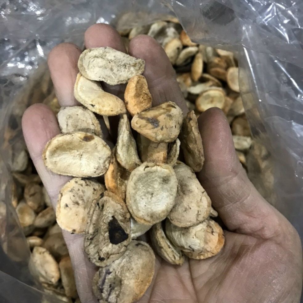 Hạt Sang (Hạt Sành) 10 Hạt