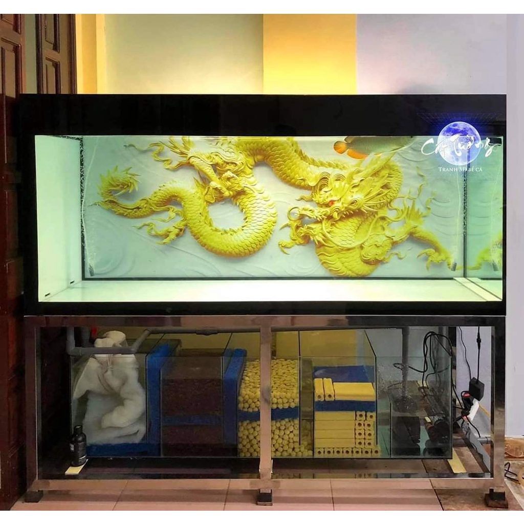 Tranh 3d dán bể cá thủy sinh, bể cá rồng