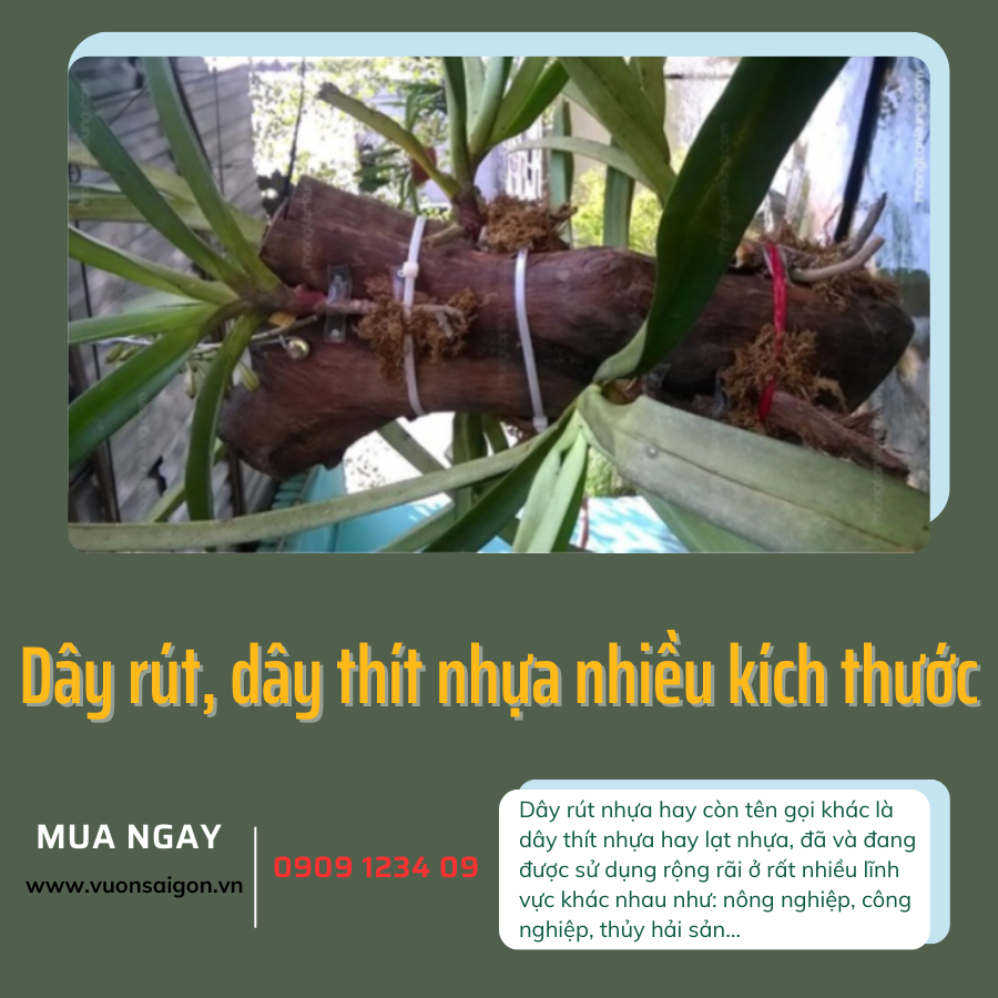 Dây rút cố định giàn leo, vật dụng gia đình (Vườn Sài Gòn - Vuon Sai Gon)