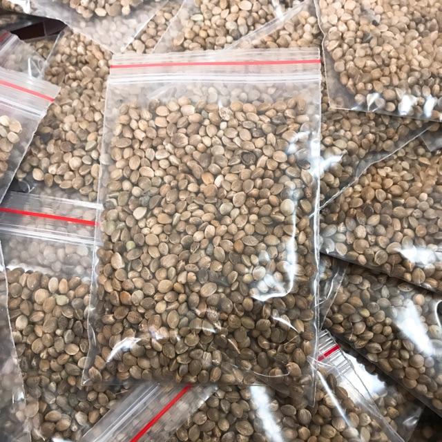 Thức Ăn Cho Hamster - Hạt Láng Dinh Dưỡng (100gr) - [Nông Trại Thú Cưng]