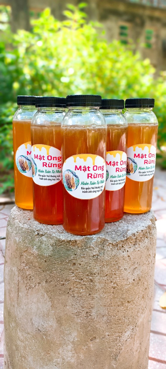 MẬT ONG RỪNG ( Cam kết chuẩn 100%)