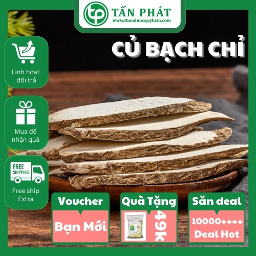 Củ bạch chỉ khô 100g - Tấn phát - Hàng loại 1 chất lượng cao