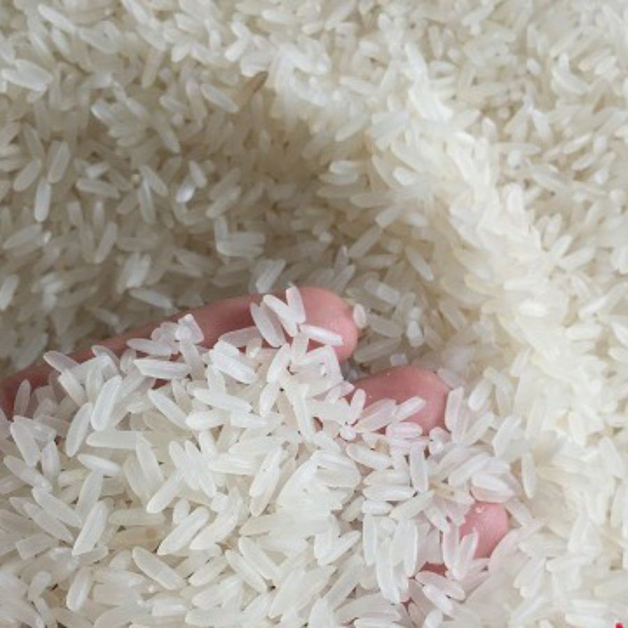 1kg gạo bắc thơm - gạo tám thơm vùng lúa thái bình, nam định