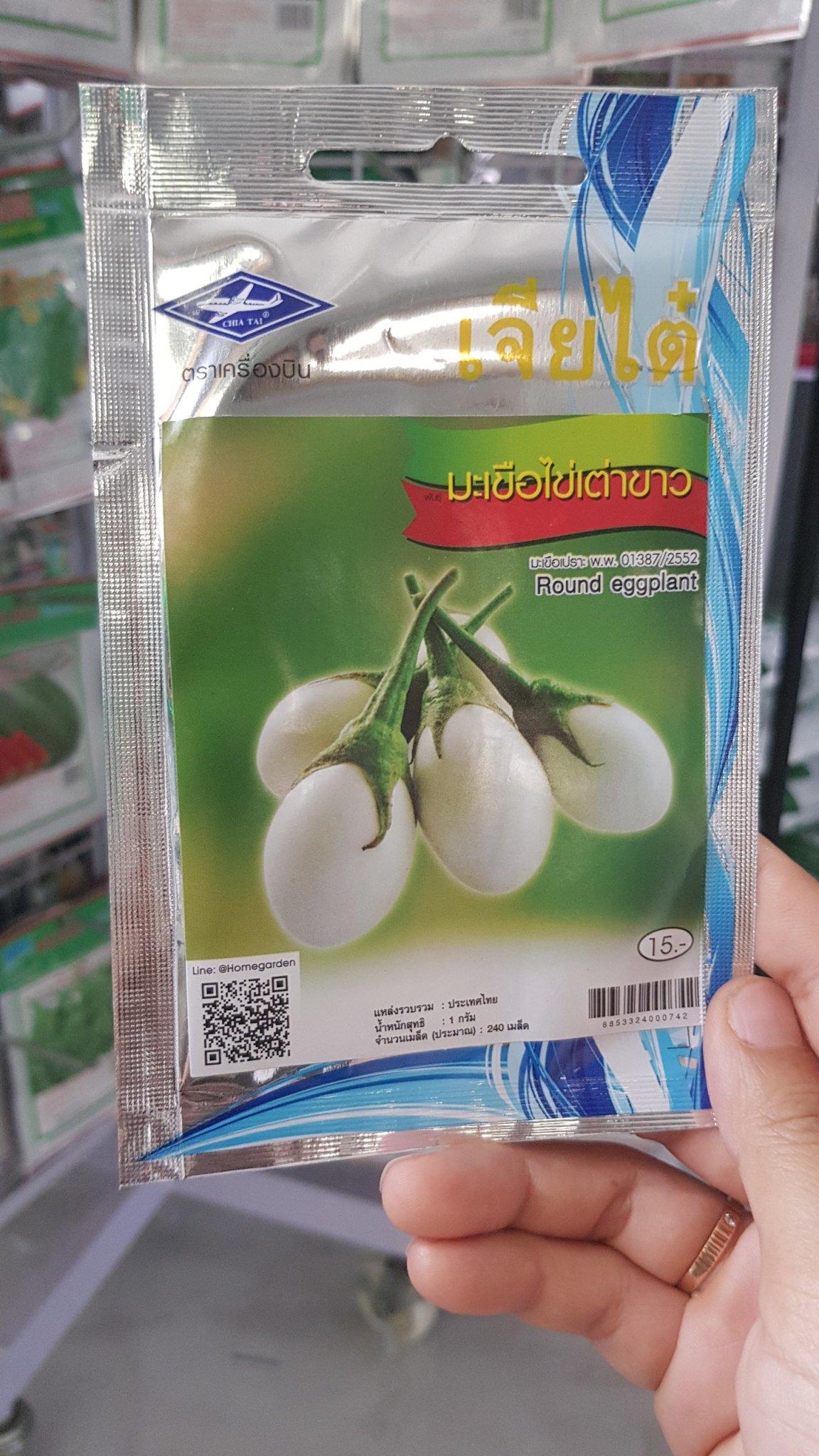 HAT GIỐNG CÀ PHÁO TRỨNG NGỖNG - HG THÁI