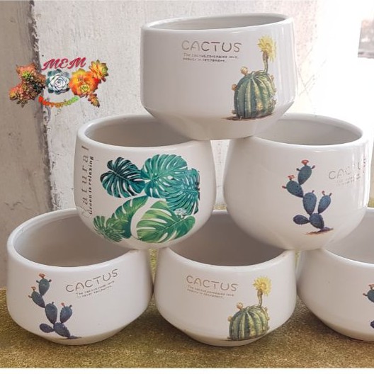 Chậu sứ cúp nhỏ cao in hình