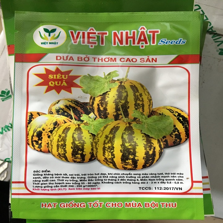 Hạt giống Dưa Bở thơm cao sản